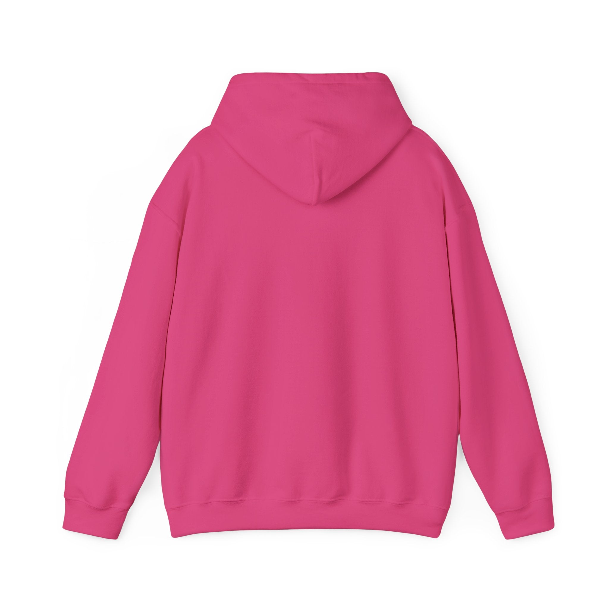 Passport Dude Unisex Heavy Blend™ Hooded Sweatshirt